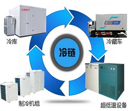上海到闸北冷冻物流公司合理安排