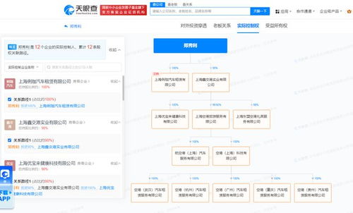 流量背后 上海空港出行生态的资本图谱与政策反弹